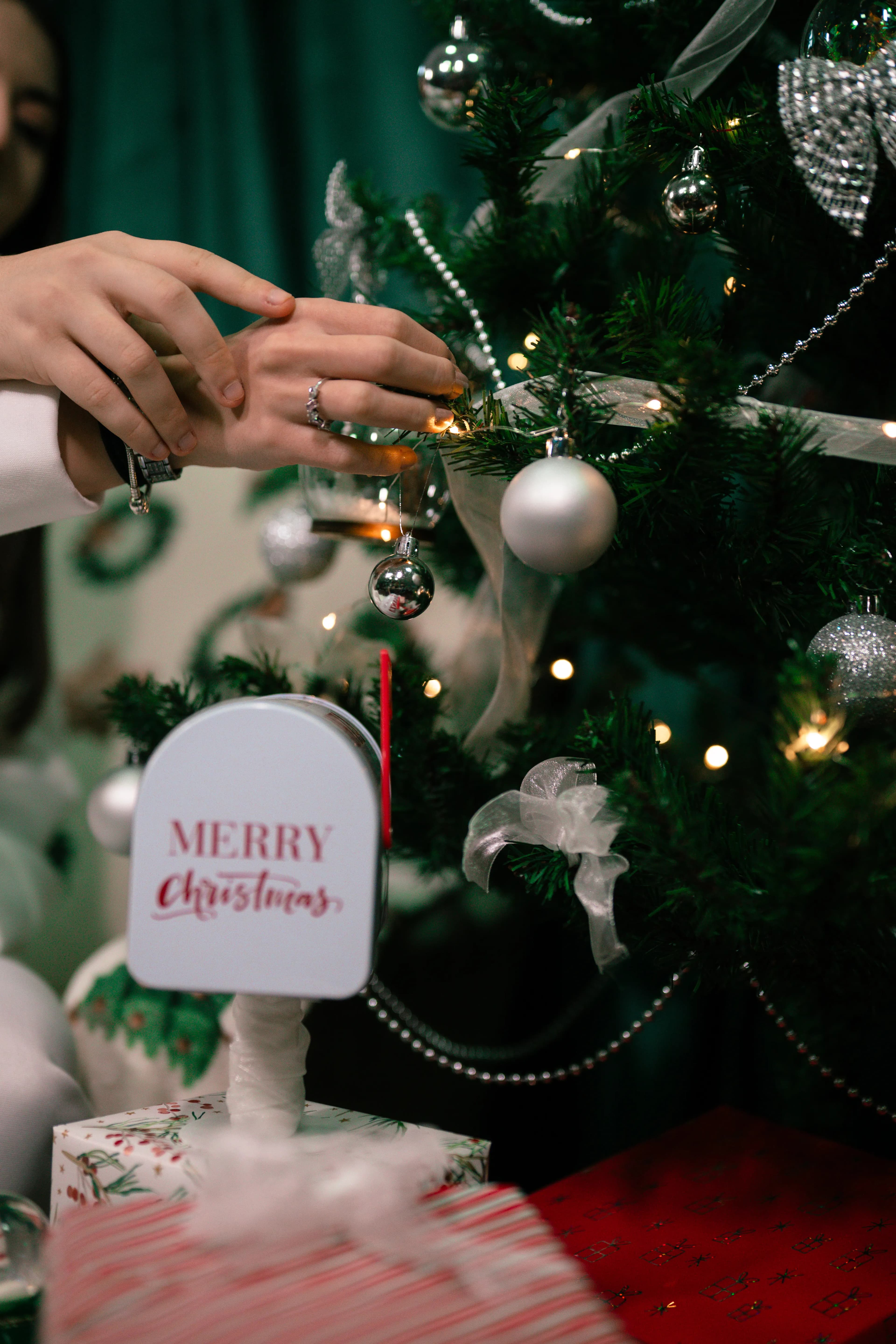 Christmas studio photo session 4 — Focus Duo Photography